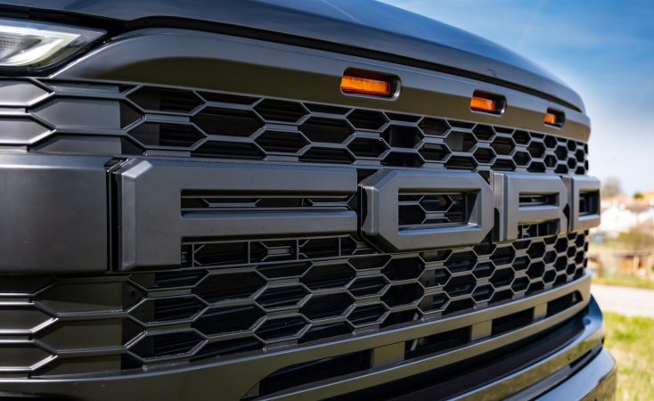 Ford F-150 Platinum rialzato (16)